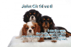 John-14-vs-6